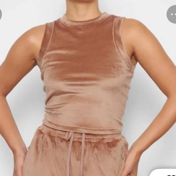 SKIMS Tops - Skims Velour Crew Neck Tank Sienna sz L #B0X2/3